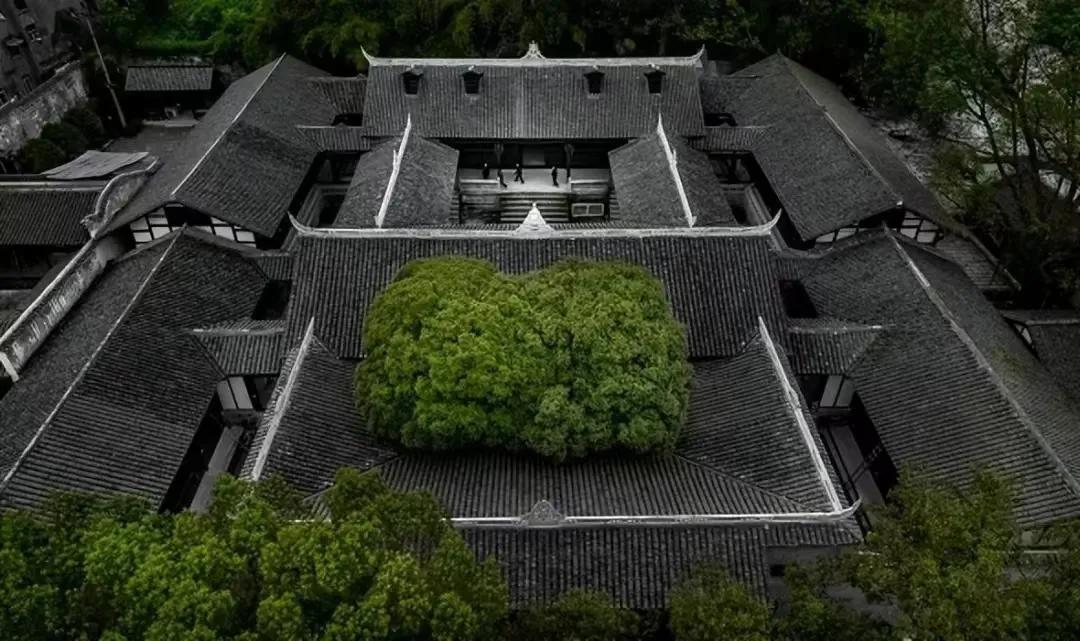 马英九重庆之行，为何一定要参访中央政治学校旧址？