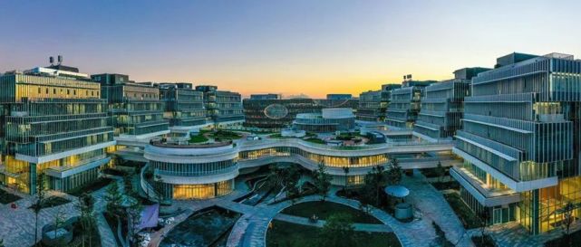 疯狂建大学的广东，开始“收割”了