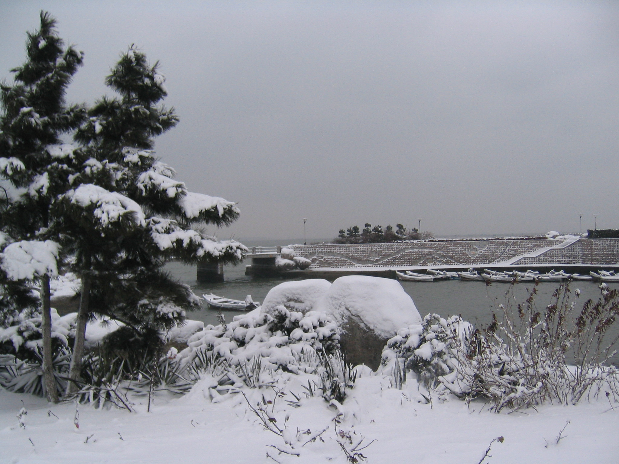 满江红·春雪