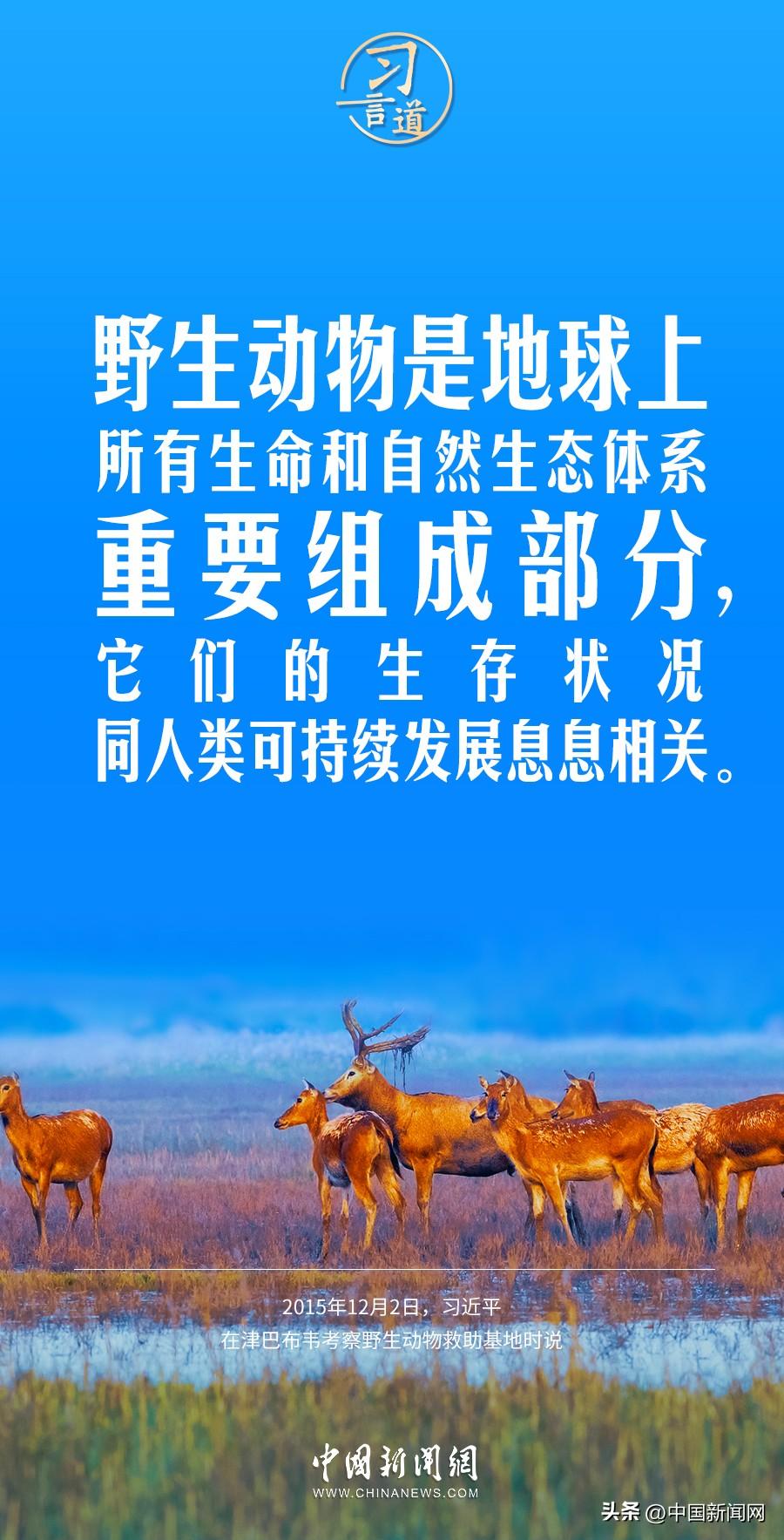 习言道｜以自然之道，养万物之生