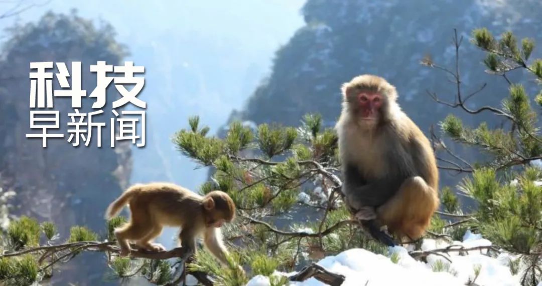 科技早新闻丨新冠病毒会在人体内滞留数月；我国发布海洋环流数值模式“妈祖”