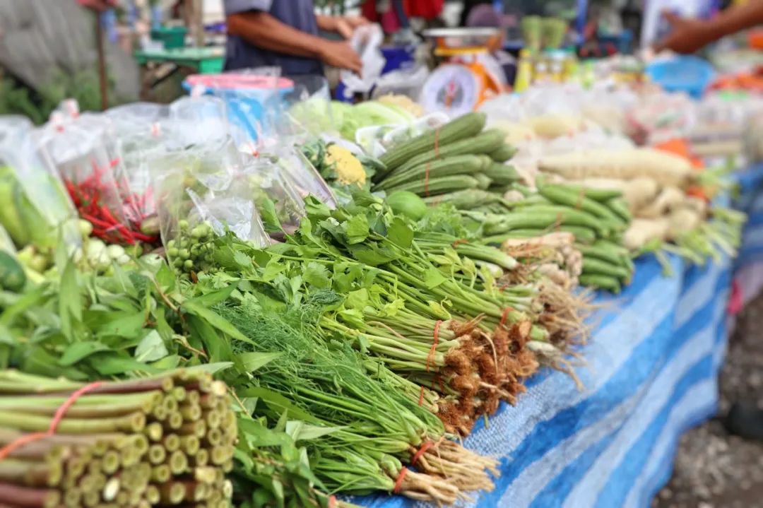 菠菜有的好吃有的涩，这是怎么回事呢？