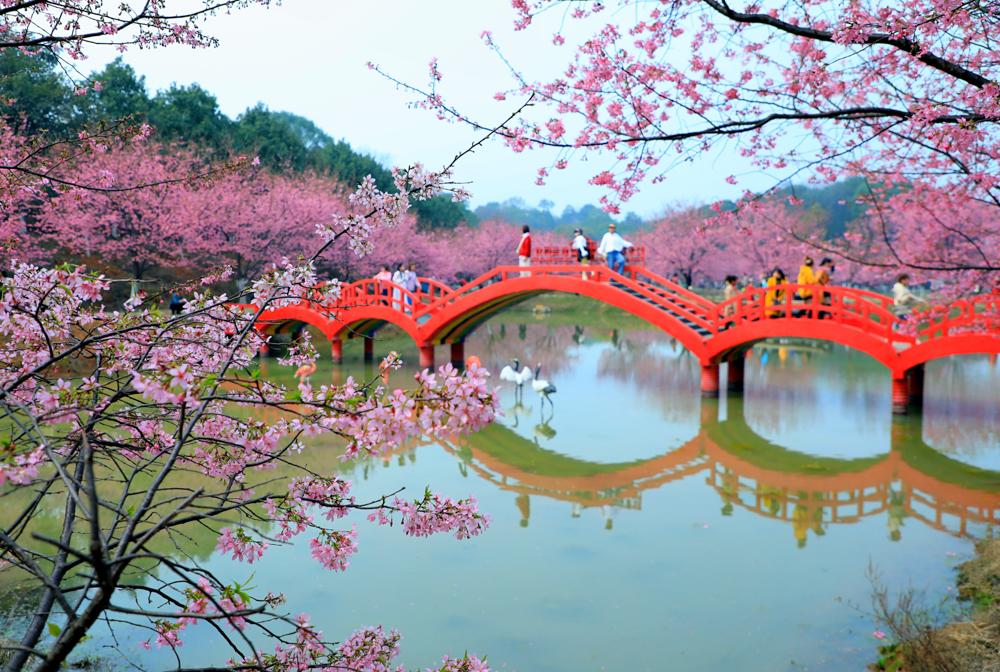 跟随春的脚步，去有花的地方