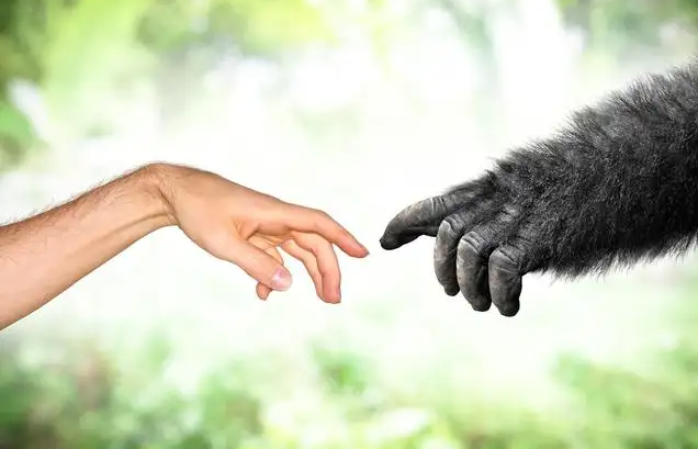 人类将实现主动进化，和机器融为一体？他是全球首位生化电子人