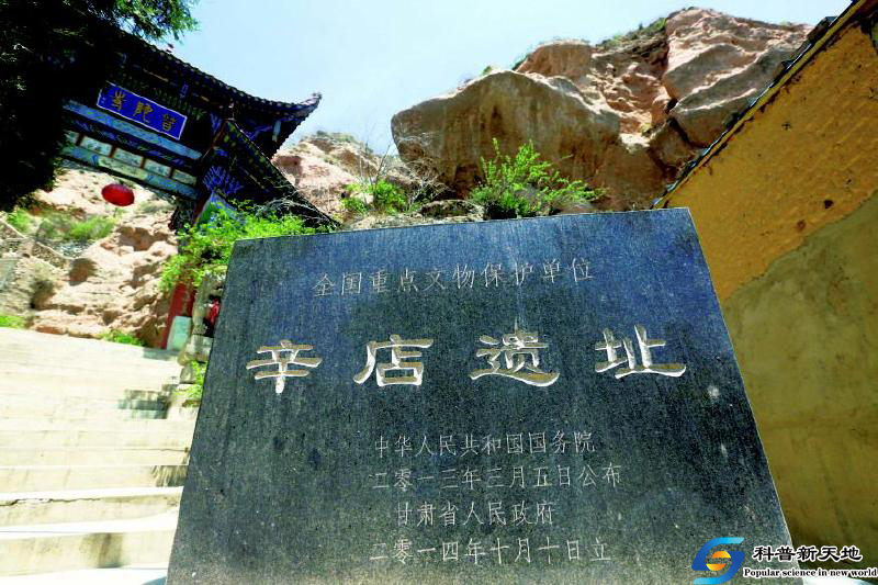 维胜话陇原（三十）——道法自然在辛店