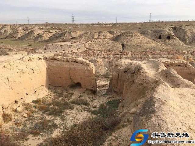维胜话陇原（二十一）——揭谜王家沟石器