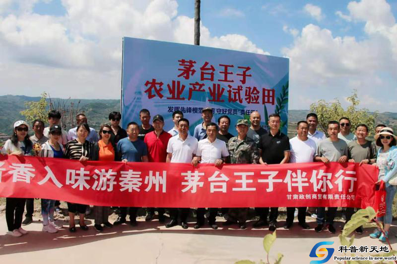 山梁上的农业产业试验田
