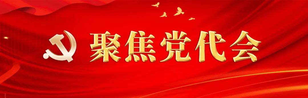中国共产党临夏回族自治州第十三次代表大会关于中国共产党临夏回族自治州第十二届委员会报告的决议